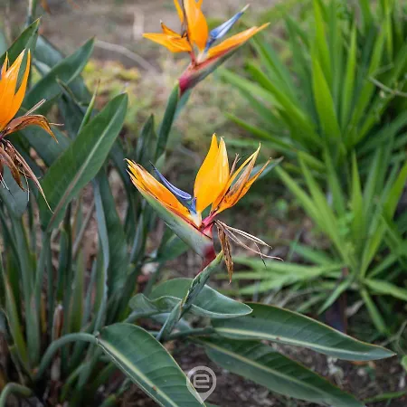 Nyaraló Spectacular Seaview Escape